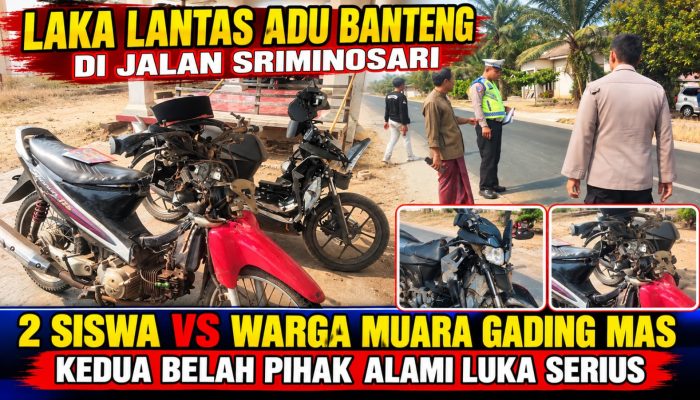 LAKA LANTAS ADU BANTENG DI JALAN DESA SRIMINOSARI, DUA SISWA SMK VS WARGA MUARA GADING MAS LUKA SERIUS